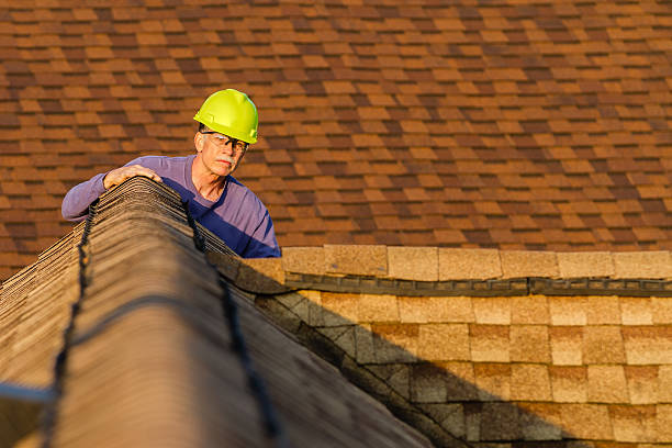 Best Storm Damage Roof Repair  in Locust Fork, AL